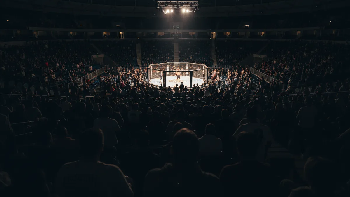 Aficionados de la UFC en la arena, de espaldas, viendo el octágono iluminado.